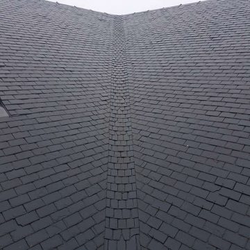 dak in natuurleien